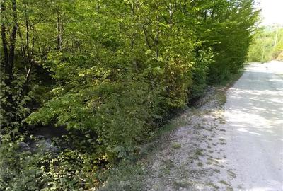 Teren de 5500 mp, în Pietroasa - 9
