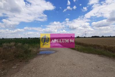 Teren de 715 mp, în Snagov - 22