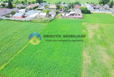 TEREN intravilan PODOLENI, jud. Neam? - 4
