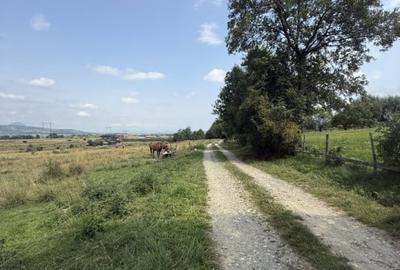 Teren intravilan 500 mp - Tohanul Nou - 1