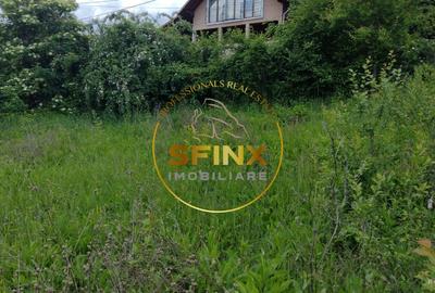 Teren intravilan de vanzare in Breaza Strada Primaverii - 5