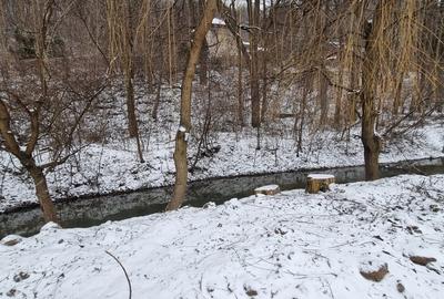 Hemeius- Teren cu deschidere la padure si lac. Cu salcie la mal! - 3