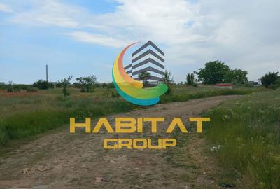 Teren de 5000 mp, în Măgurele - 4