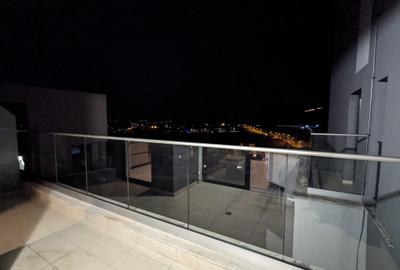 PENTHOUSE, 3 camere, bloc nou,finisat, terasa,parcare, BUNA ZIUA, AUDI - 10