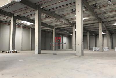 Depozit/hala/spatiu industrial Bolintin Deal - A1 - KM23 - 1