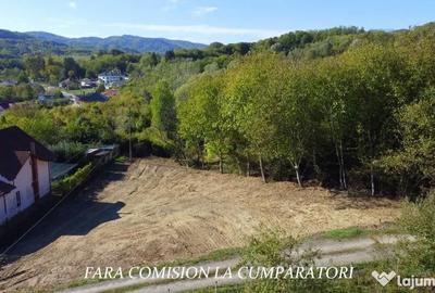 Teren de 1522 mp, în Vlădești - 12