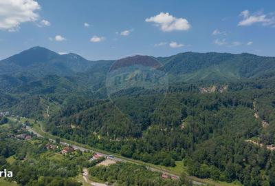 Spațiu comercial, în Timișu de Jos - 12