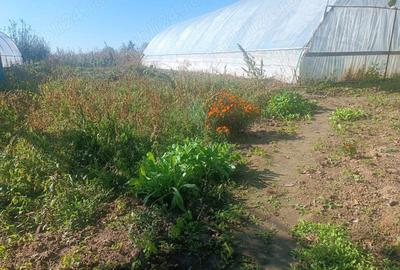 Casă cu Teren 2700 Mp în Huțani - 1