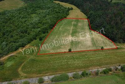 Teren de vanzare in comuna Baicule?ti, Judet Arge?. - 6