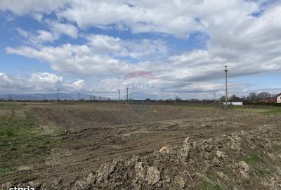 Teren de 9431 mp, în Garoafa