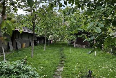 Teren de 1500 mp, în Oinacu - 3
