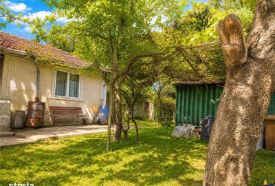 Casă cu 3 camere în Mislea - 4