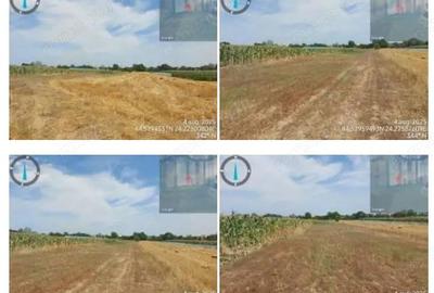 Teren de 3520 mp, în Strejești - 3