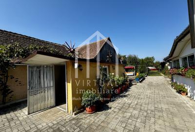 Casă individuală cu 7 camere cu Canalizare în Șura Mică - 2