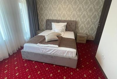 Vila premium cu piscina, zona Spa si facilitati hoteliere integrate, Cod 160400 - 13