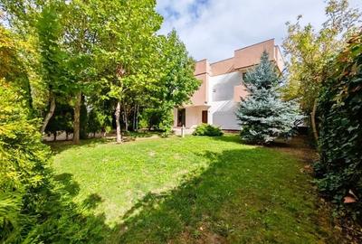 Vila Iancu Nicolae - Rovere