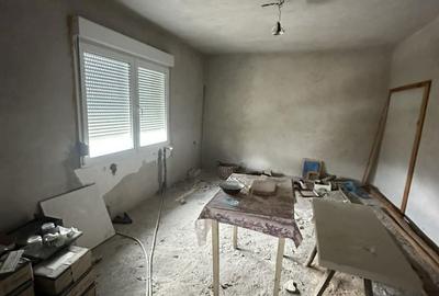 Casă cu 4 camere cu Teren 5000 Mp în Central - 3