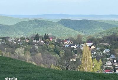Teren de 1500 mp, în Telega - 7