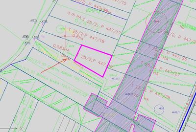 Teren în Pipera - 3