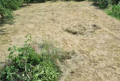 Casa de vanzare la ro?u, Ca?eiu 250 mp utili ?i te - 3