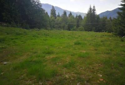 Predeal teren intravilan 4351 mp - 6