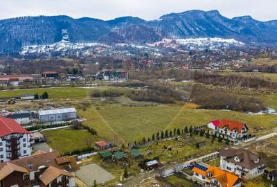 Teren Construcții intravilan de 4138 mp, în Sud - 5