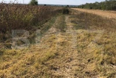 Teren de 3222 mp, în Central - 4