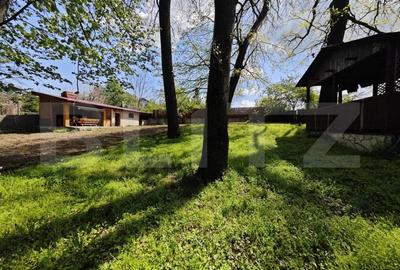 Casuta de vacanta in padure , zona Barnova - 8