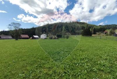 Teren de 14318 mp, în Paltin - 3