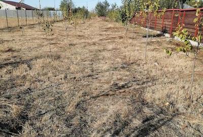 Casă cu 4 camere cu Teren 100 Mp în Buzoești