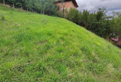 0% Comision! Casa P+E, teren 1681 mp, 2 fronturi, la asfalt, in Suceag - 40