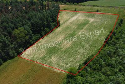 Teren de vanzare in comuna Baicule?ti, Judet Arge?. - 10