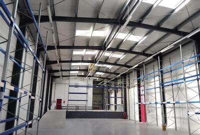 Vand hala noua in Bors - 3