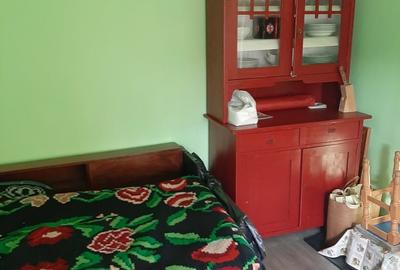 Casă cu 3 camere cu Teren 3800 Mp în Șăușa - 1