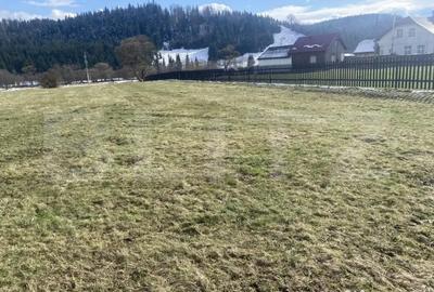 Teren de 12500 mp, în Coșna - 4