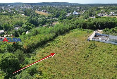 AZURA Imobiliare - Vanzare teren Smeura, zona verde - 6