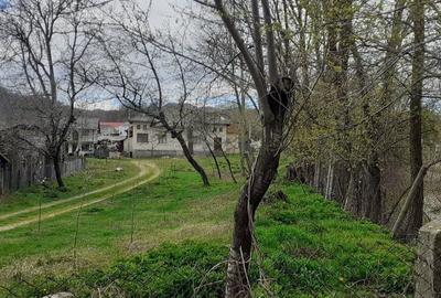 Casa de vanzare Domnesti Arges - 6