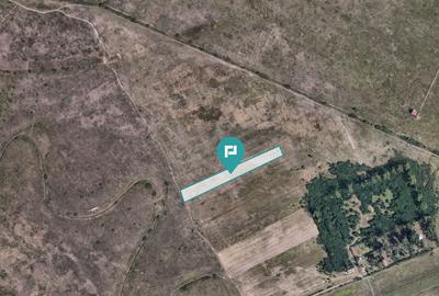 Teren Construcții extravilan de 10000 mp, în Moșnița Nouă - 3