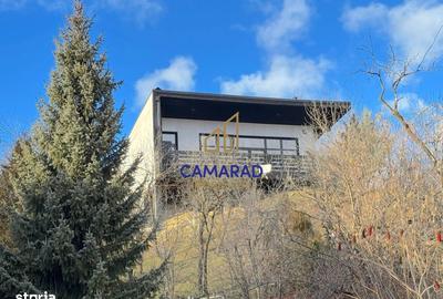 Casă cu 4 camere cu Teren 2377 Mp în Provița de Jos - 11