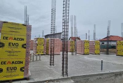 Casă cu 3 camere cu Teren 325 Mp în Șag - 7