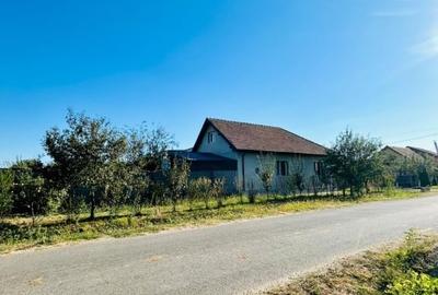 Casa spațioasă -Ghilad,Tinisoara - 2