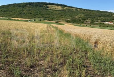 Teren de 2000 mp, în Șoimuș - 1
