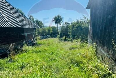 Casă individuală cu 2 camere cu Teren 4890 Mp în Hărnicești - 7