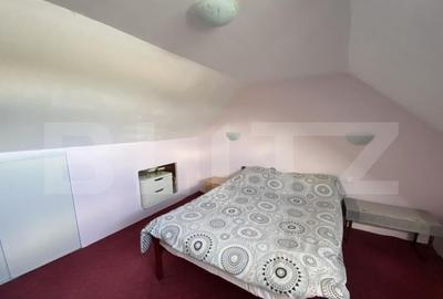 Casa familiala, suprafata de 133 mp, cu gradina de 4700 mp - 17