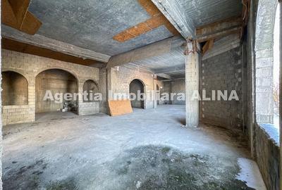 Spațiu comercial, de 2,500 mp, în 700 - 17