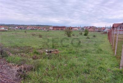 RECO Teren 4935mp in Beius RECO Teren 4935mp in Beius - 6