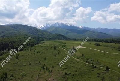 Teren intravilan 1000 mp de vanzare in Avrig zona Valea Avrigului - 3
