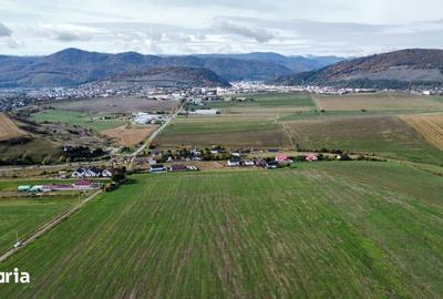 Teren de 10000 mp, în Gârcina