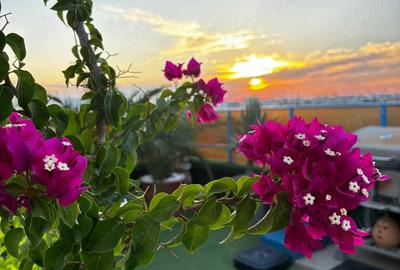 Vand apt tip Penthouse - 7