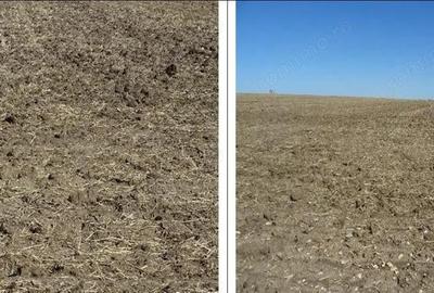 Teren de 5000 mp, în Valu lui Traian - 11